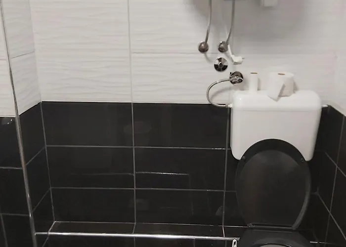 Etno Selo Smederevo Pepe- Serbia 公寓 *